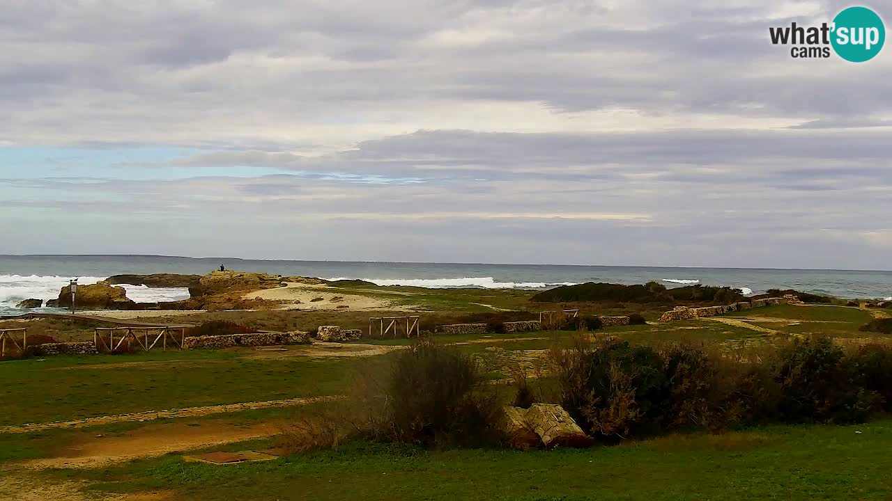 Is Arutas webcam beach | Oristano – Sardinia