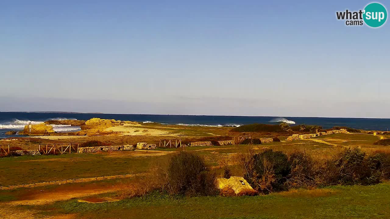 Is Arutas webcam beach | Oristano – Sardinia