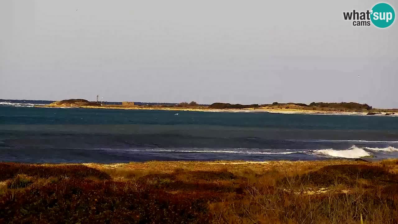 Is Arutas webcam beach | Oristano – Sardinia