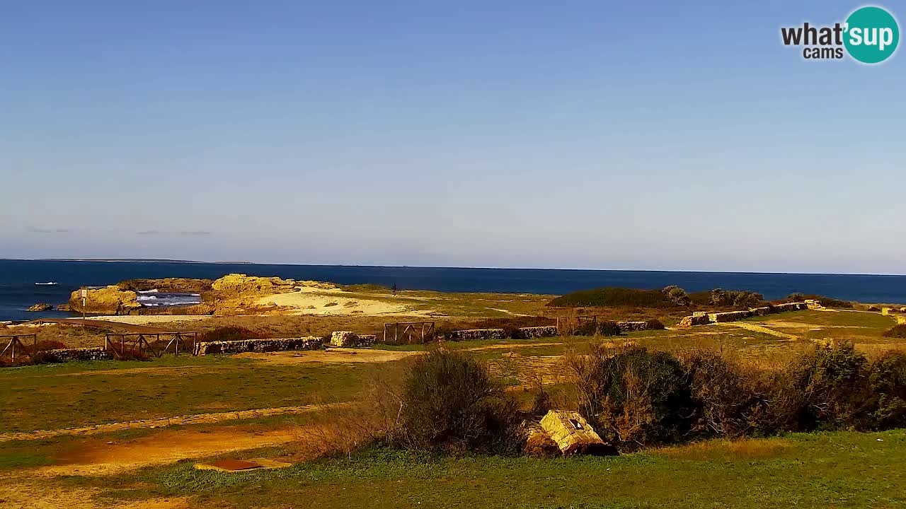 Is Arutas webcam beach | Oristano – Sardinia