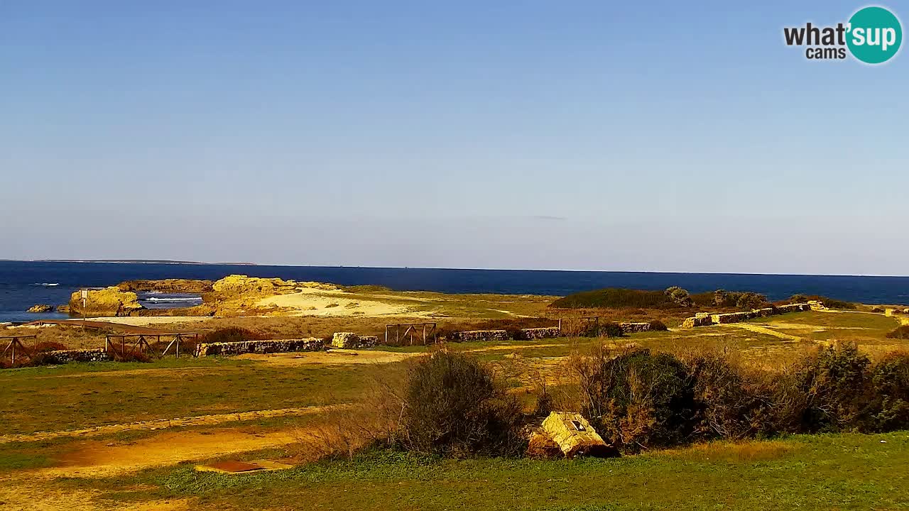 Is Arutas webcam beach | Oristano – Sardinia