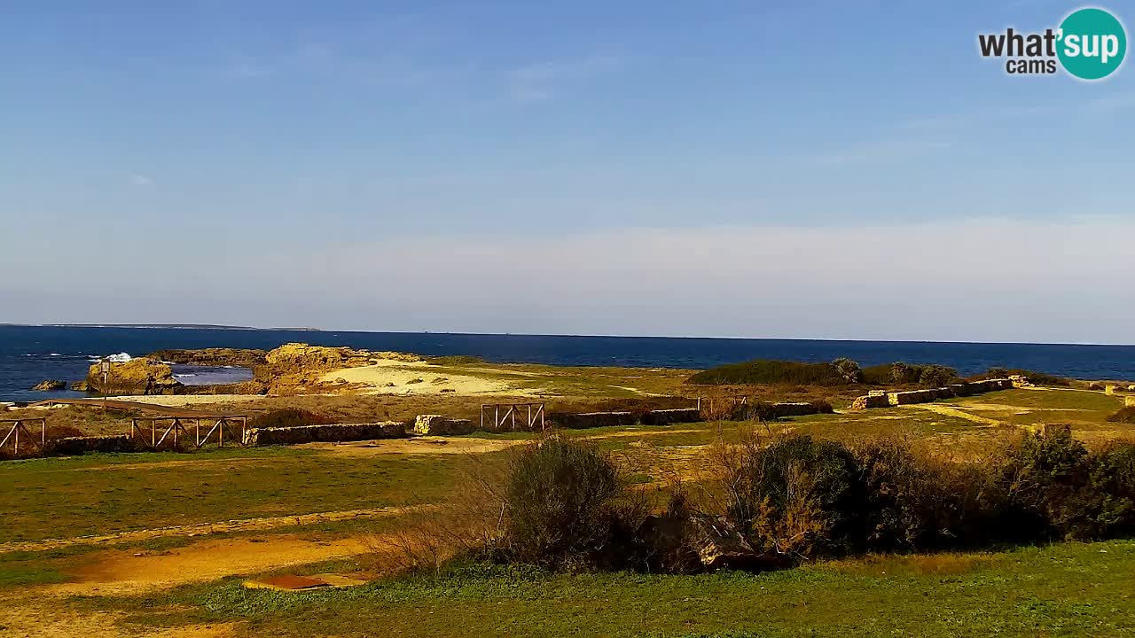 Is Arutas webcam beach | Oristano – Sardinia