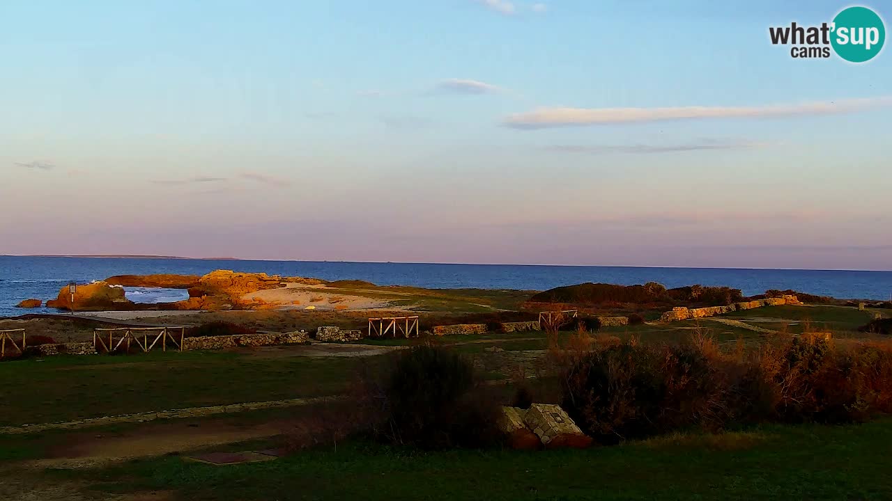 Is Arutas webcam beach | Oristano – Sardinia