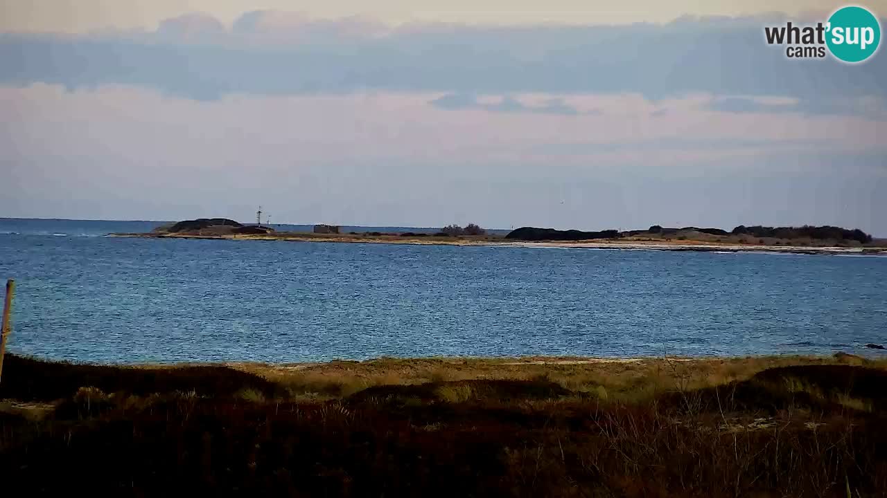 Plaža Is Arutas kamera | Oristano – Sardinija