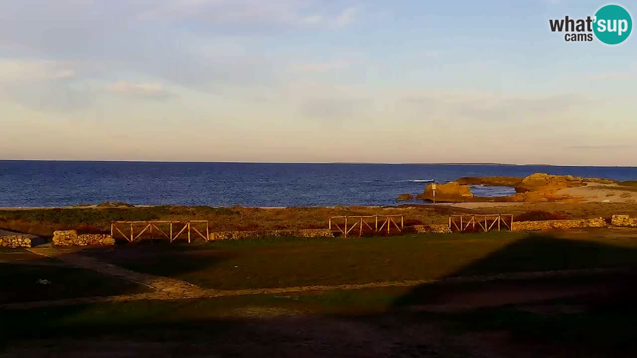 Is Arutas webcam beach | Oristano – Sardinia