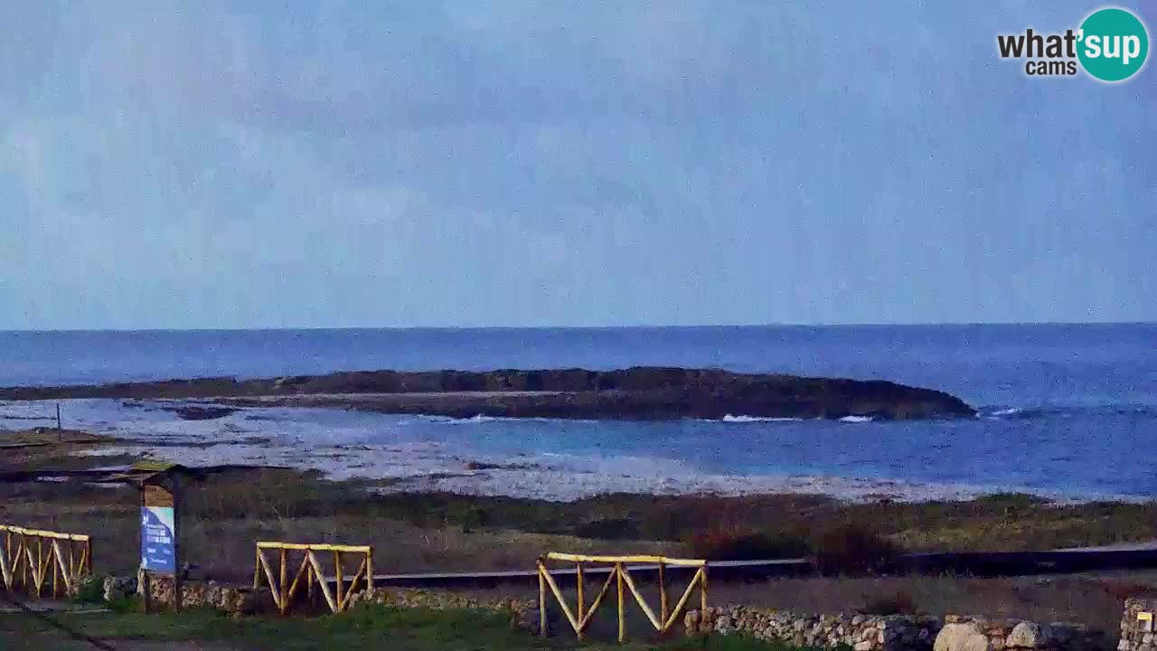 Is Arutas webcam beach | Oristano – Sardinia