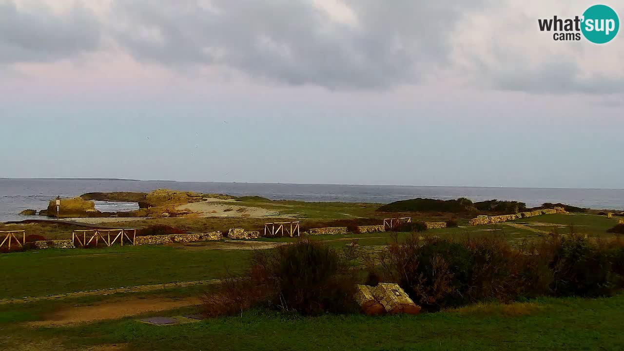 Strand Is Arutas webcam | Oristano – Sardinien