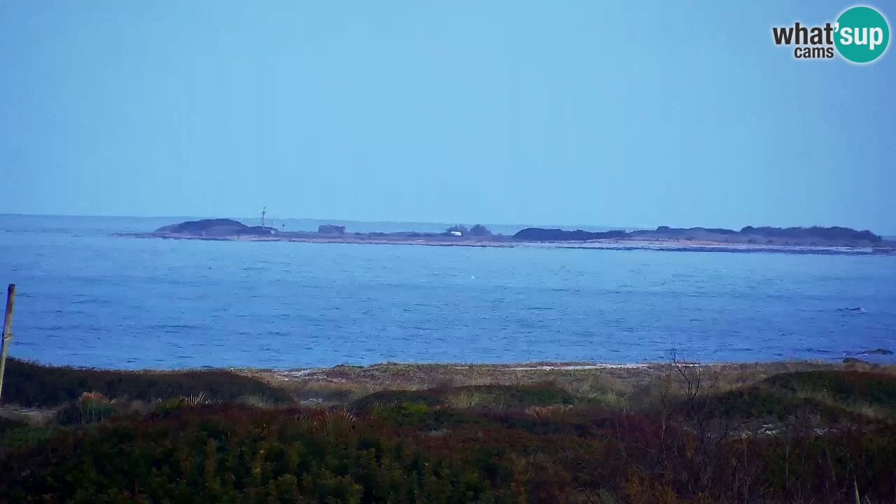 Plaža Is Arutas kamera | Oristano – Sardinija