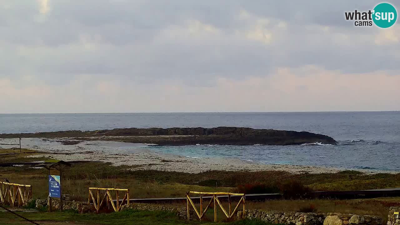 Webcam Is Arutas spiaggia | Oristano – Sardegna