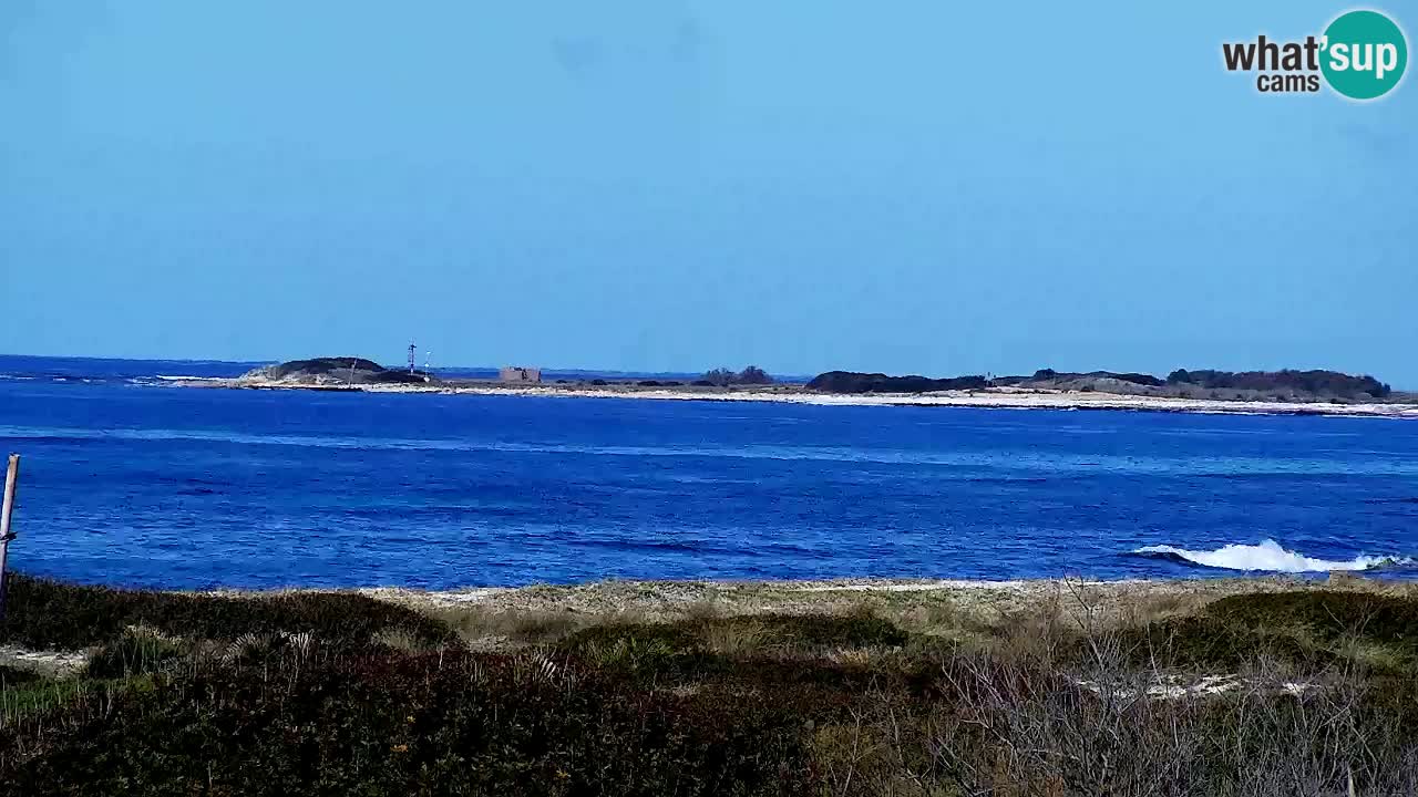 Strand Is Arutas webcam | Oristano – Sardinien