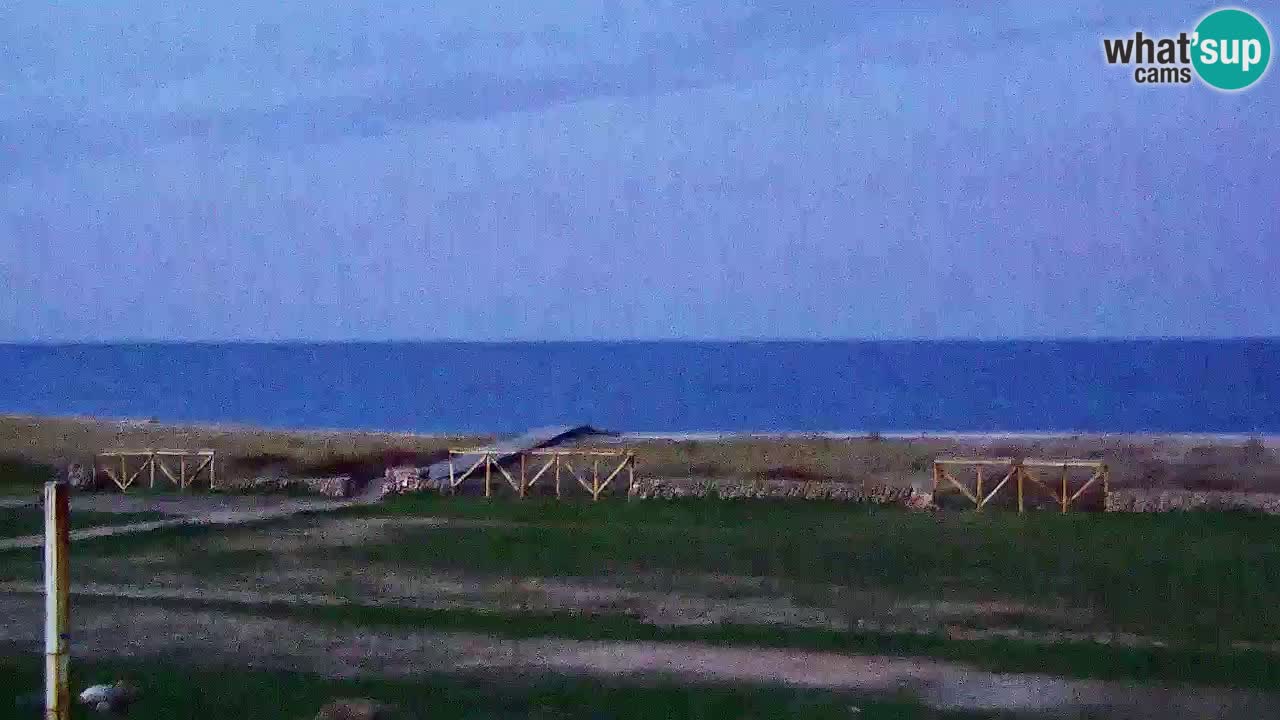 Plaža Is Arutas kamera | Oristano – Sardinija