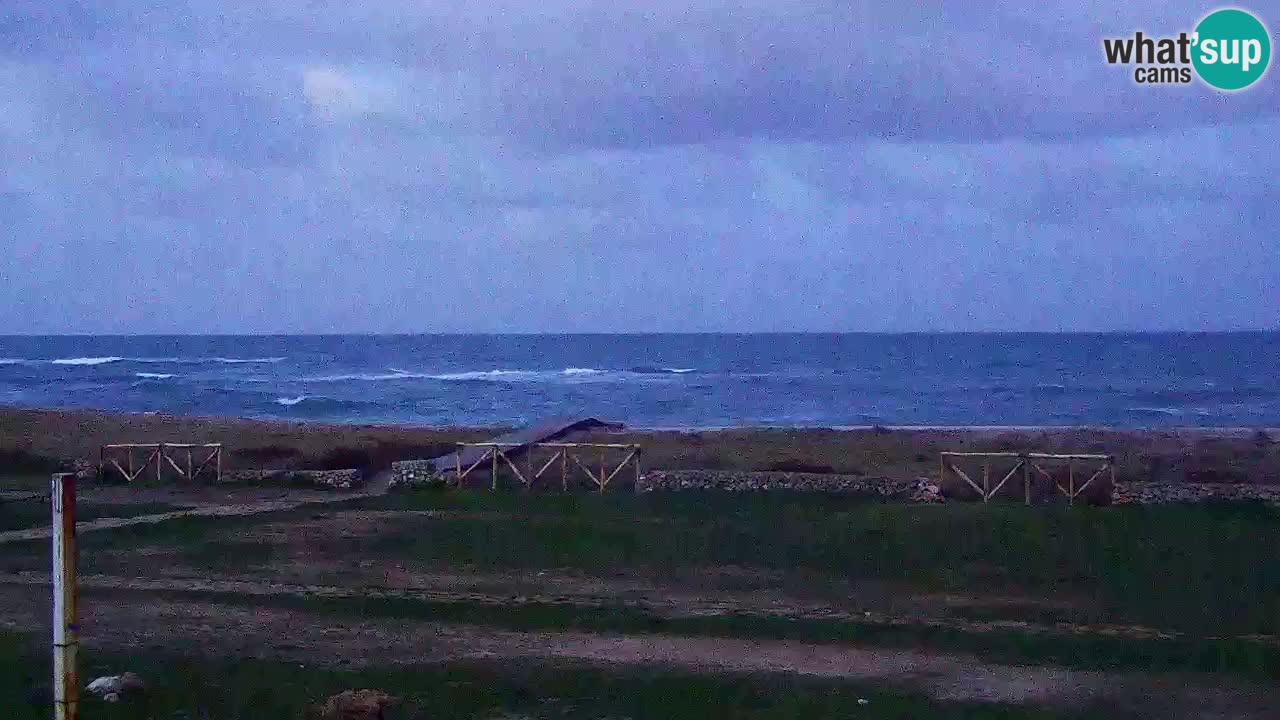 Strand Is Arutas webcam | Oristano – Sardinien