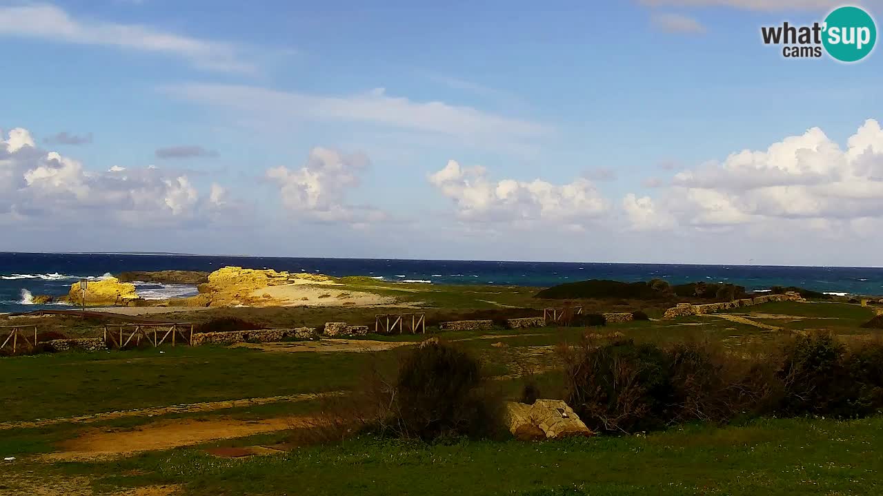 Strand Is Arutas webcam | Oristano – Sardinien