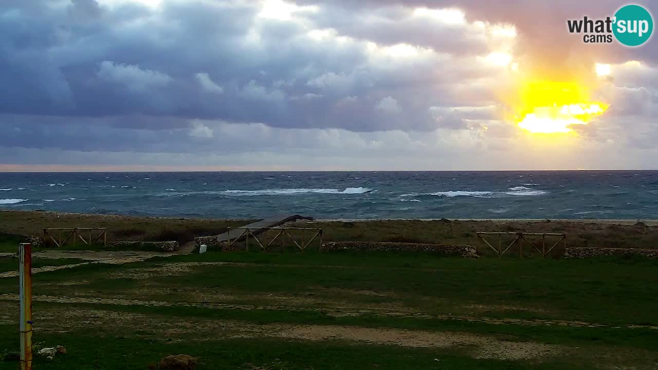 Strand Is Arutas webcam | Oristano – Sardinien