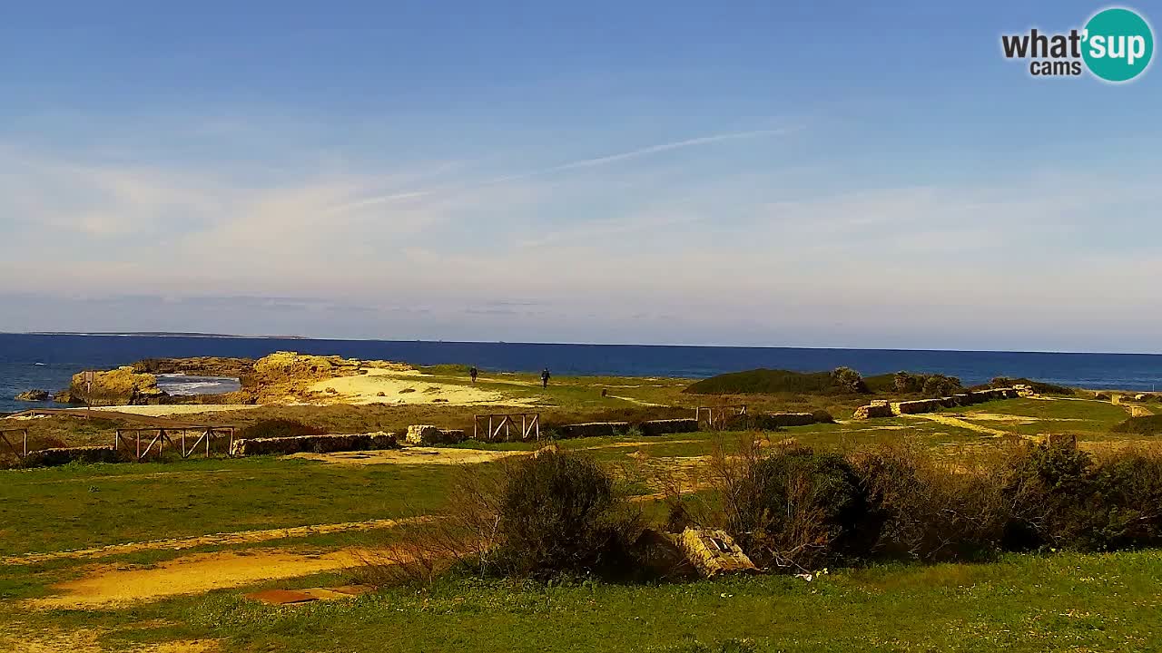 Strand Is Arutas webcam | Oristano – Sardinien