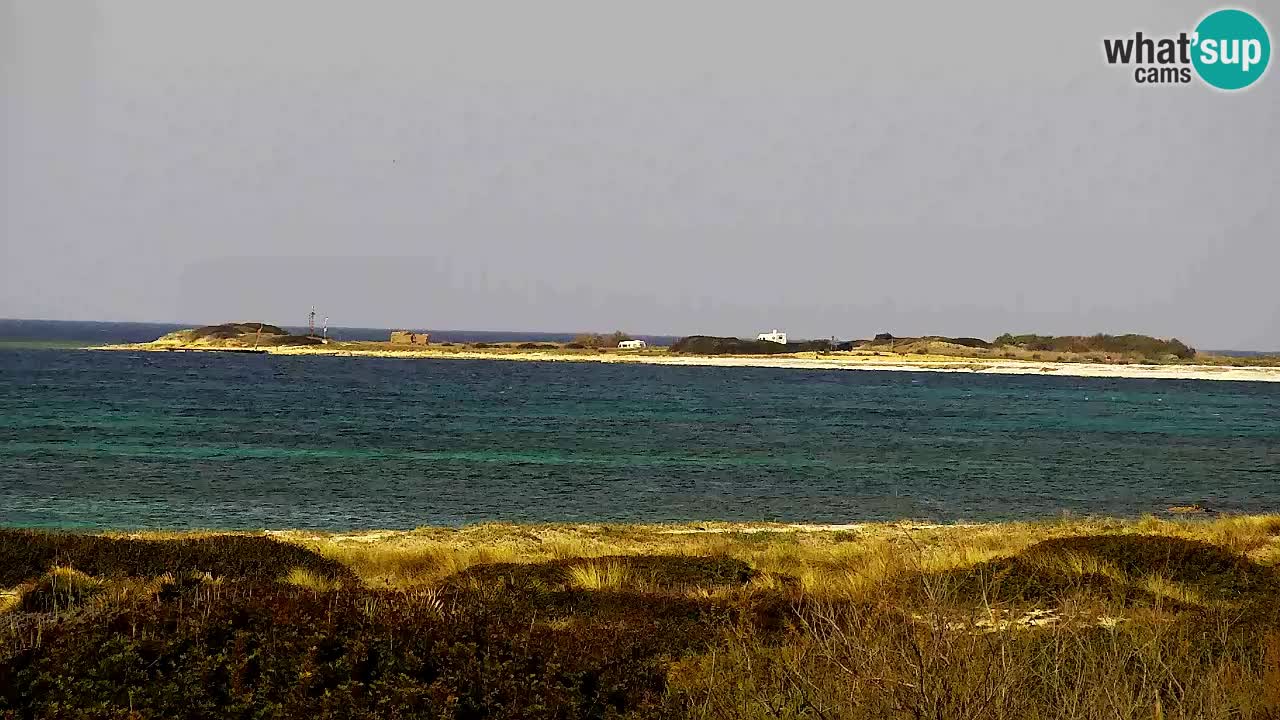 Strand Is Arutas webcam | Oristano – Sardinien