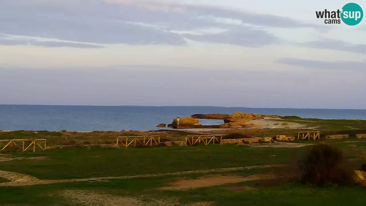 Is Arutas webcam beach | Oristano – Sardinia