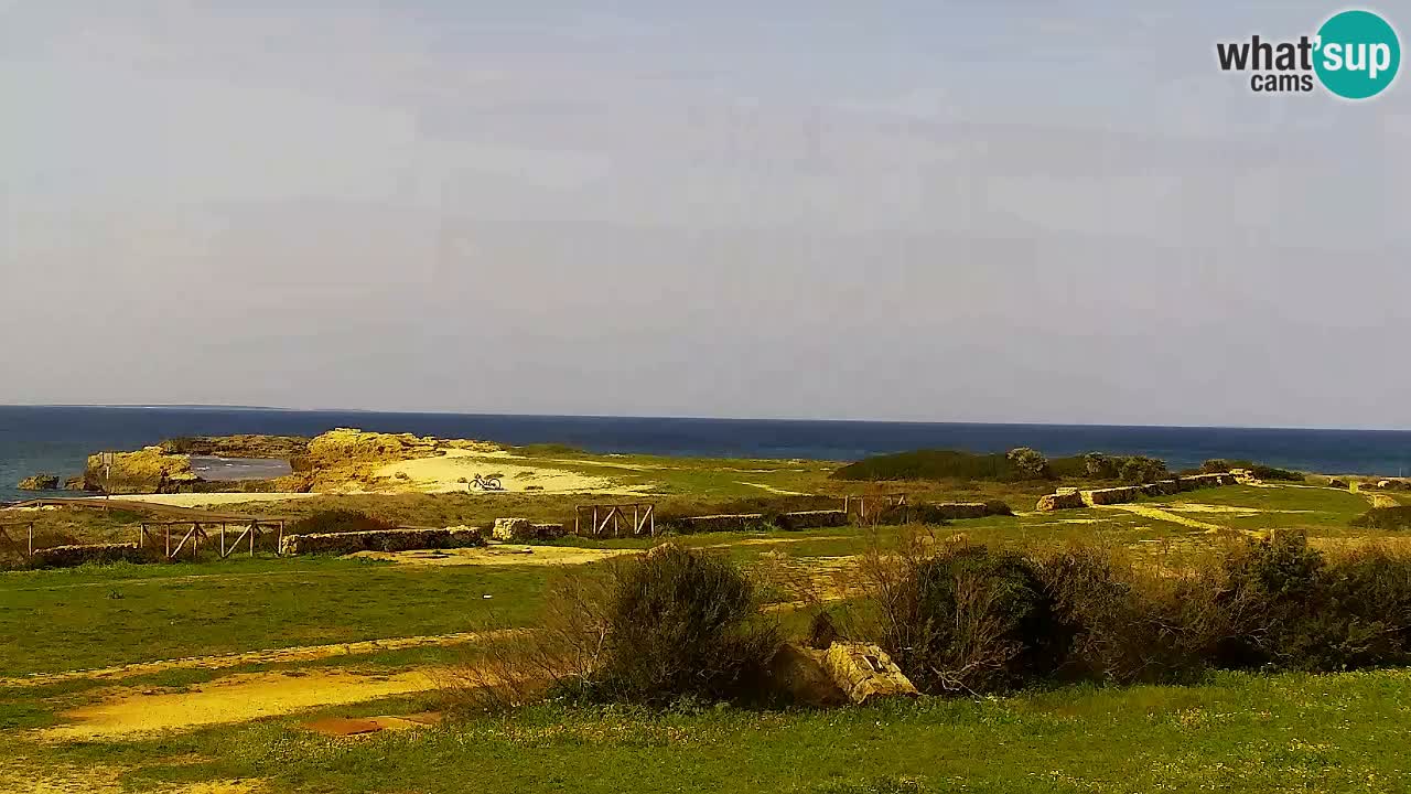 Plaža Is Arutas kamera | Oristano – Sardinija