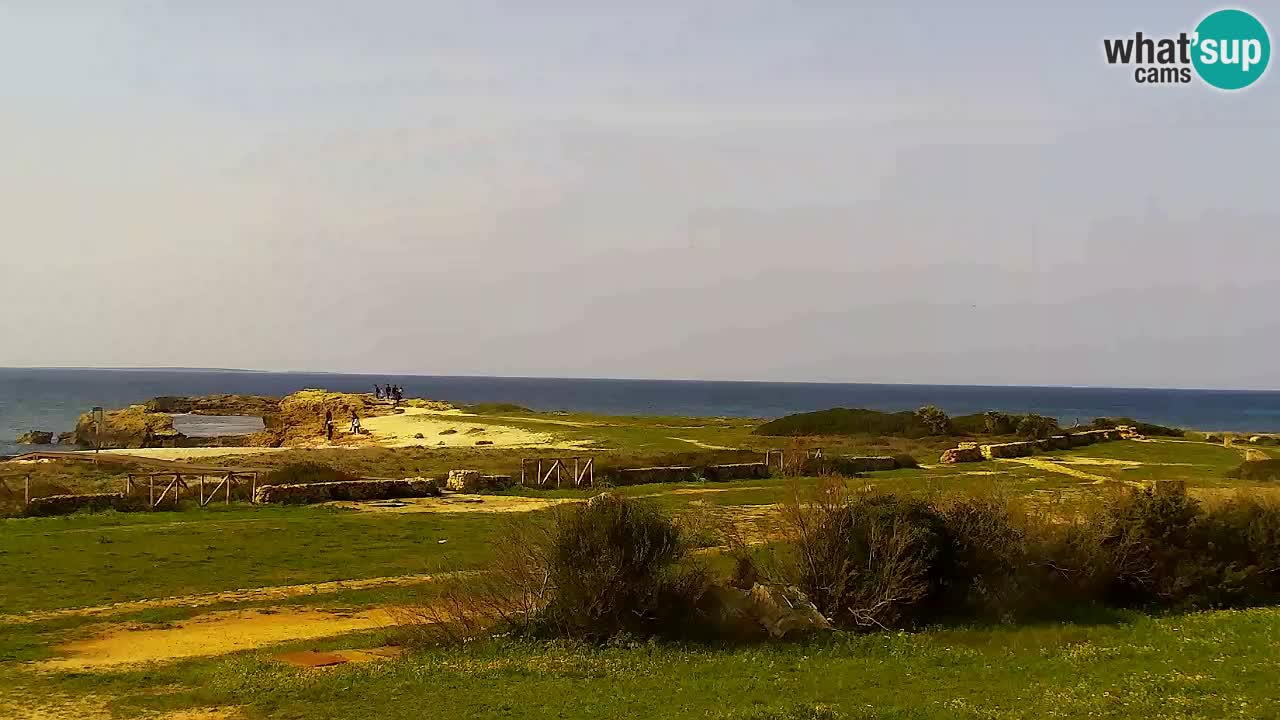 Is Arutas webcam beach | Oristano – Sardinia