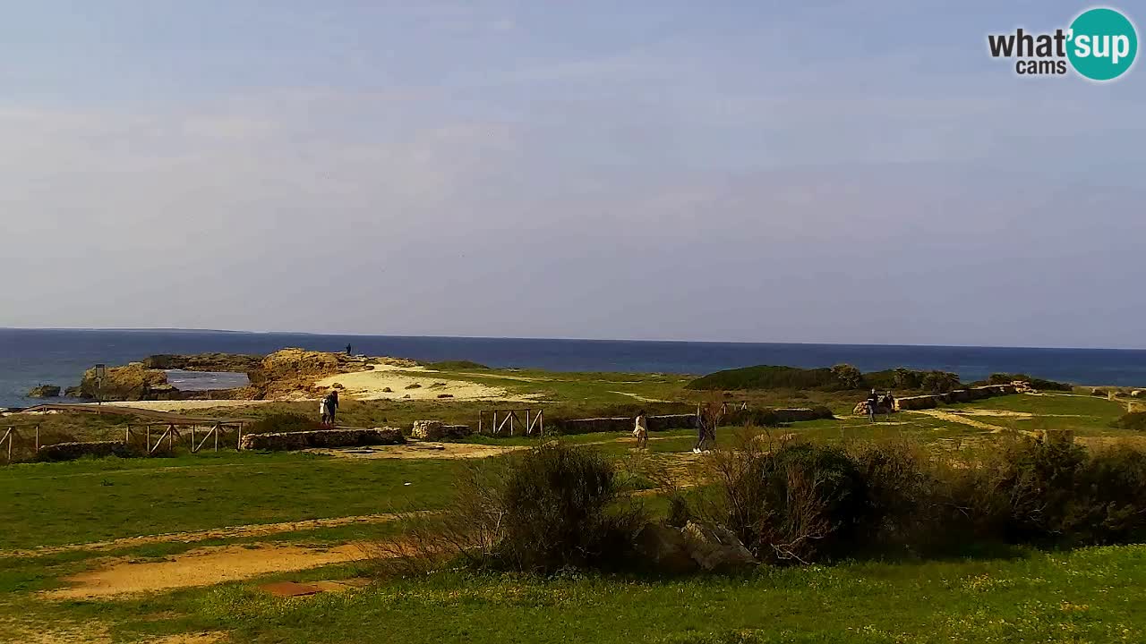 Is Arutas webcam beach | Oristano – Sardinia