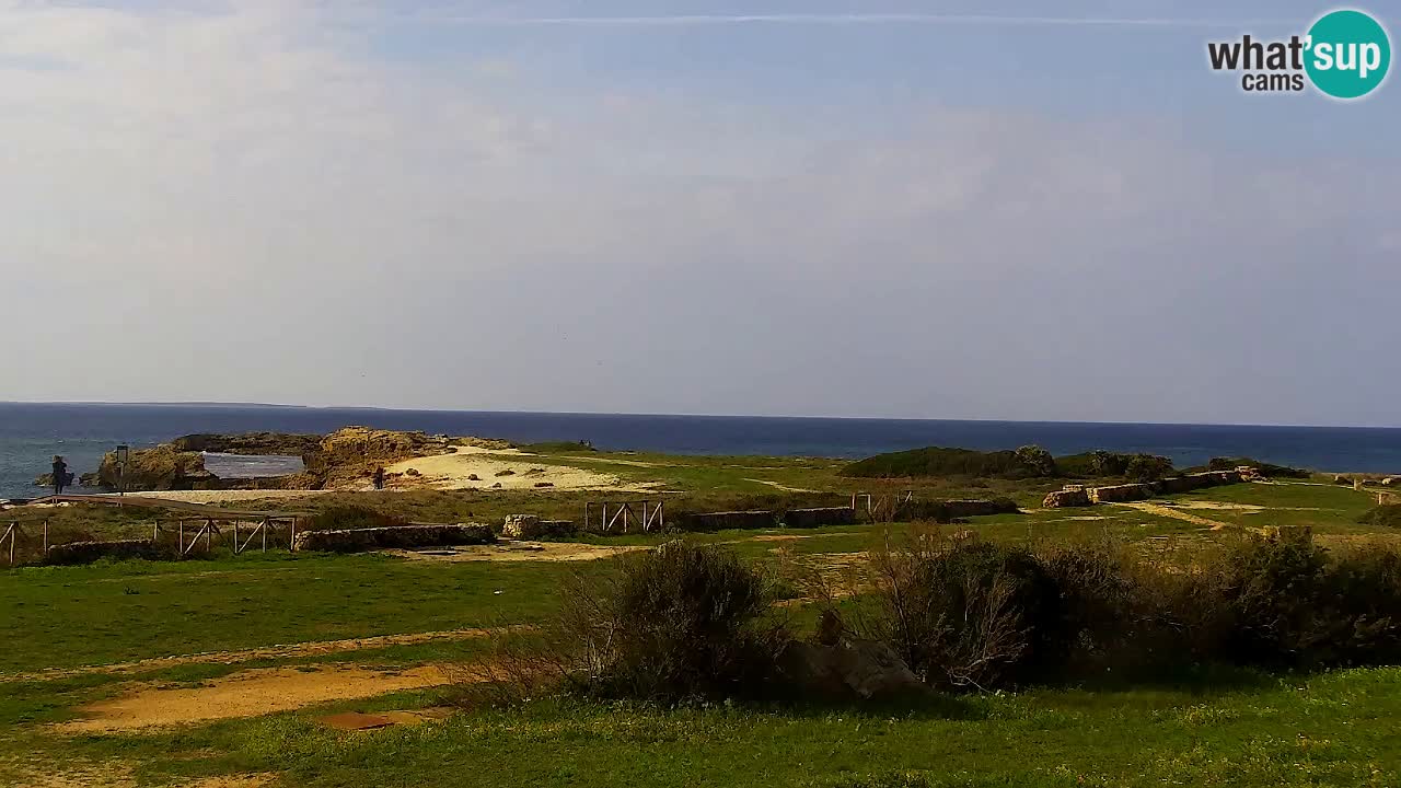 Webcam Is Arutas spiaggia | Oristano – Sardegna