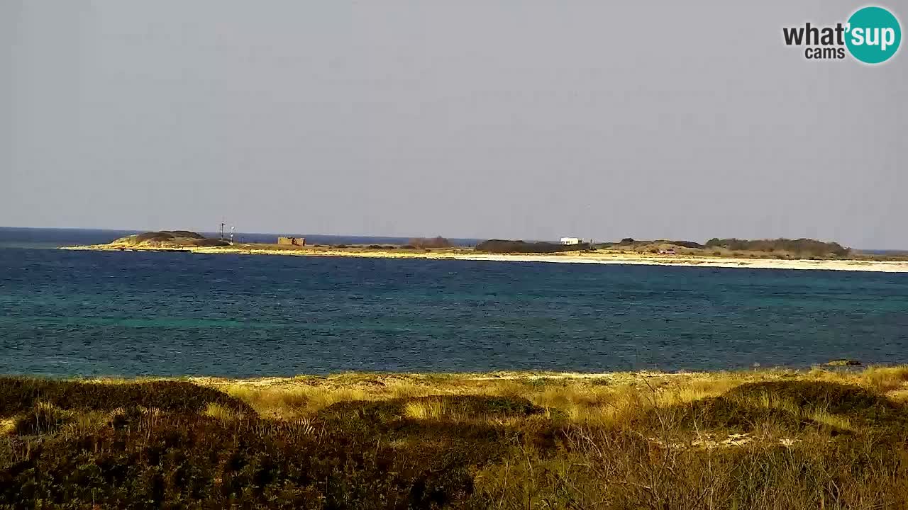 Webcam Is Arutas spiaggia | Oristano – Sardegna