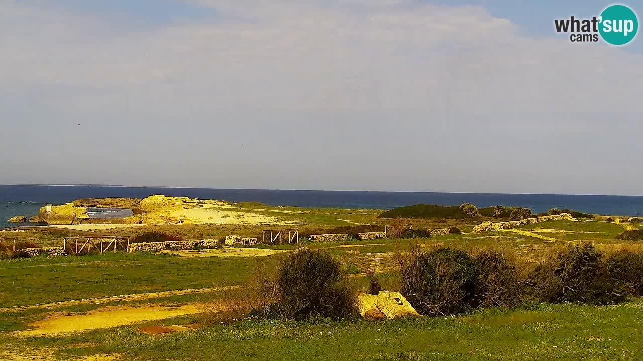 Webcam Is Arutas spiaggia | Oristano – Sardegna