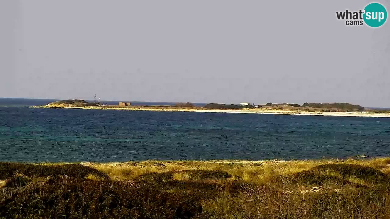 Webcam Is Arutas spiaggia | Oristano – Sardegna