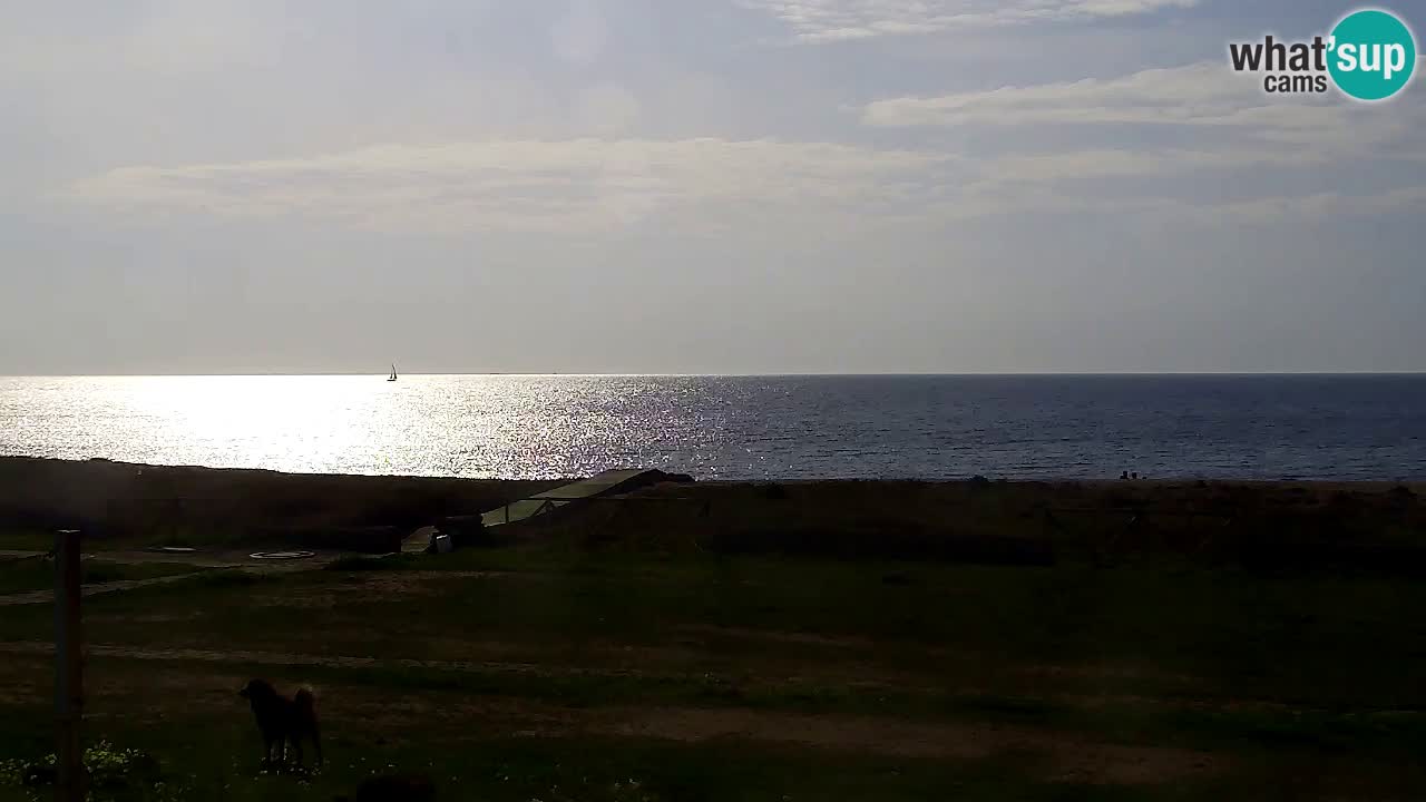 Strand Is Arutas webcam | Oristano – Sardinien