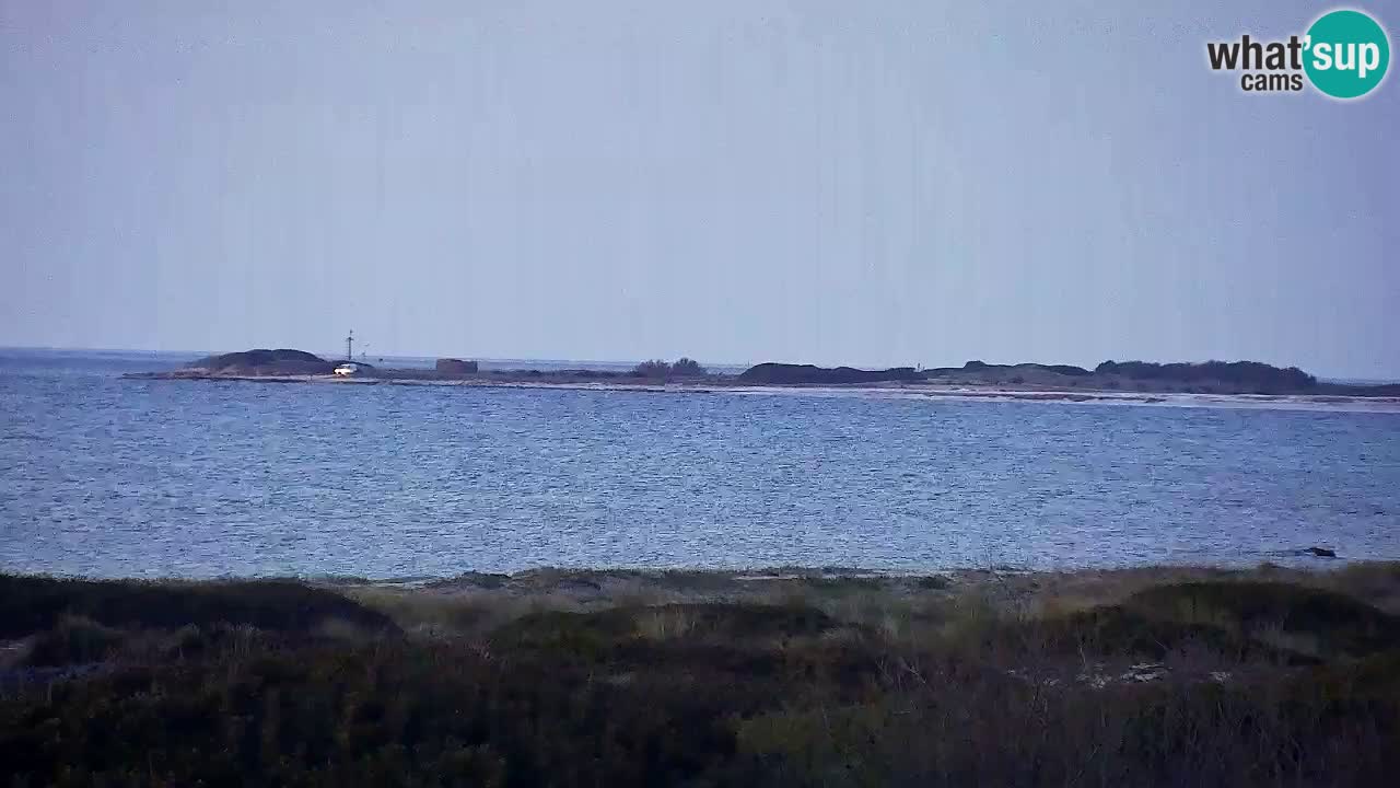 Strand Is Arutas webcam | Oristano – Sardinien