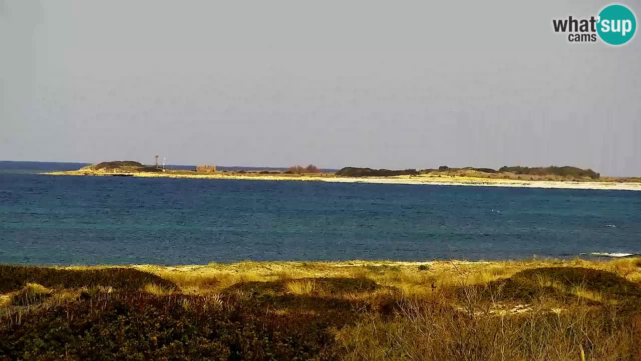 Web kamera Is Arutas plaža | Oristano – Sardinija