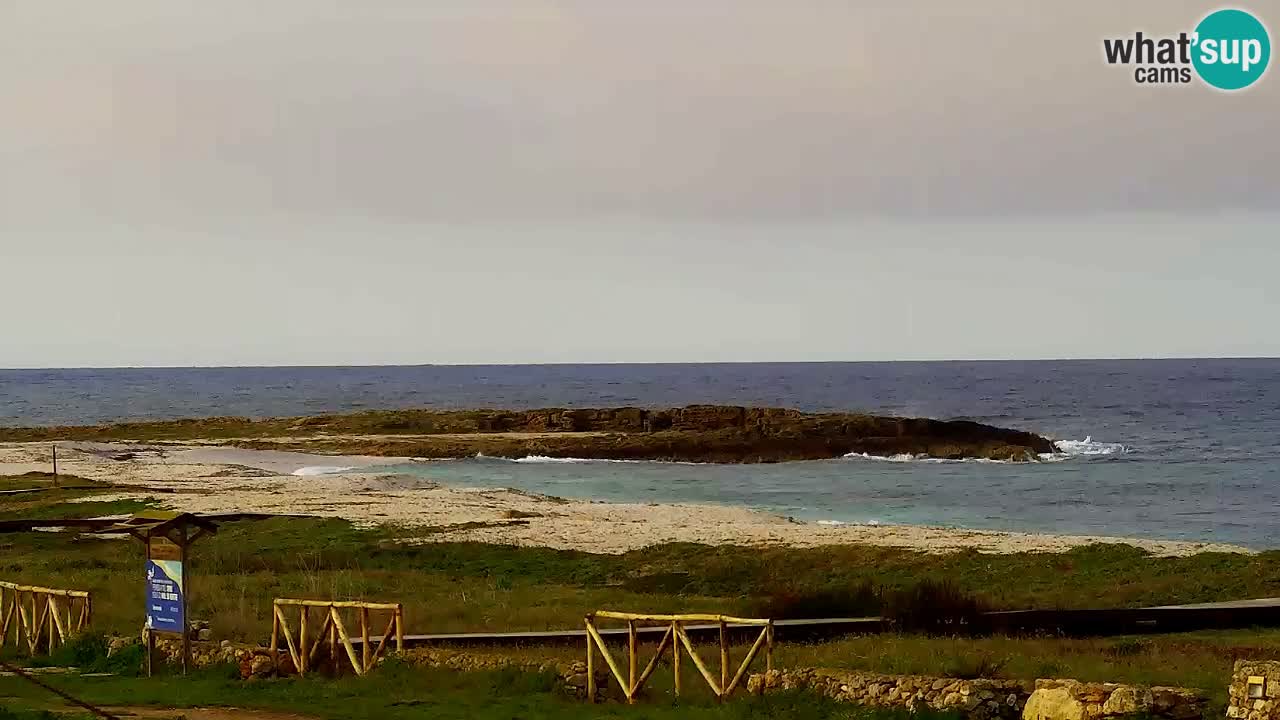 Web kamera Is Arutas plaža | Oristano – Sardinija