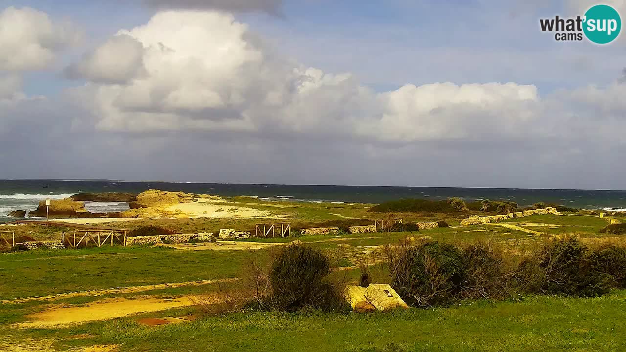 Plaža Is Arutas kamera | Oristano – Sardinija