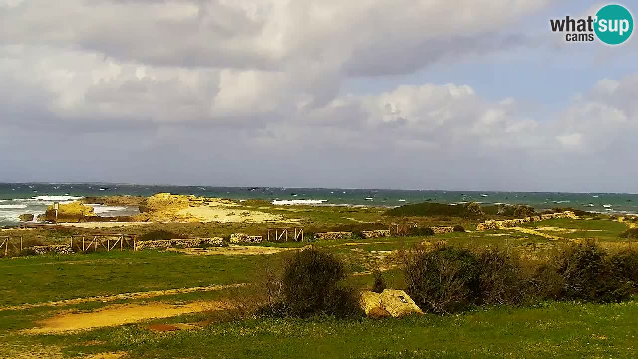 Webcam Is Arutas spiaggia | Oristano – Sardegna