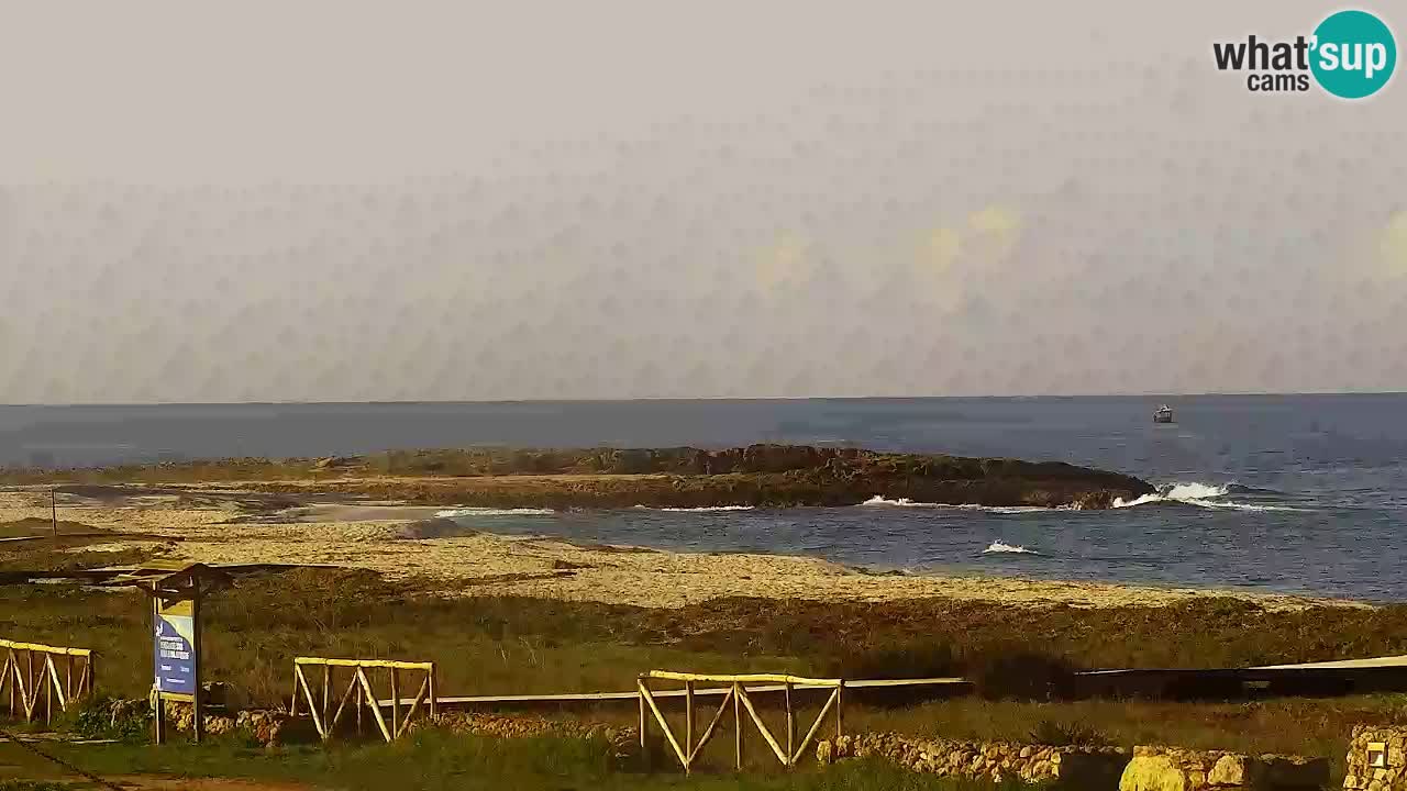 Strand Is Arutas webcam | Oristano – Sardinien