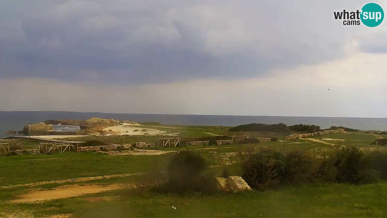 Strand Is Arutas webcam | Oristano – Sardinien