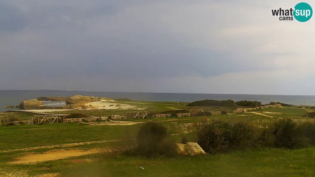 Plaža Is Arutas kamera | Oristano – Sardinija