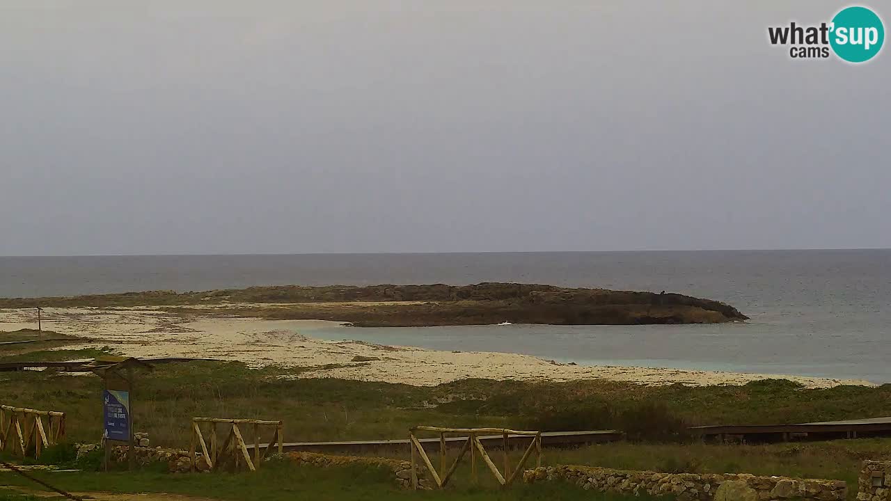 Plaža Is Arutas kamera | Oristano – Sardinija