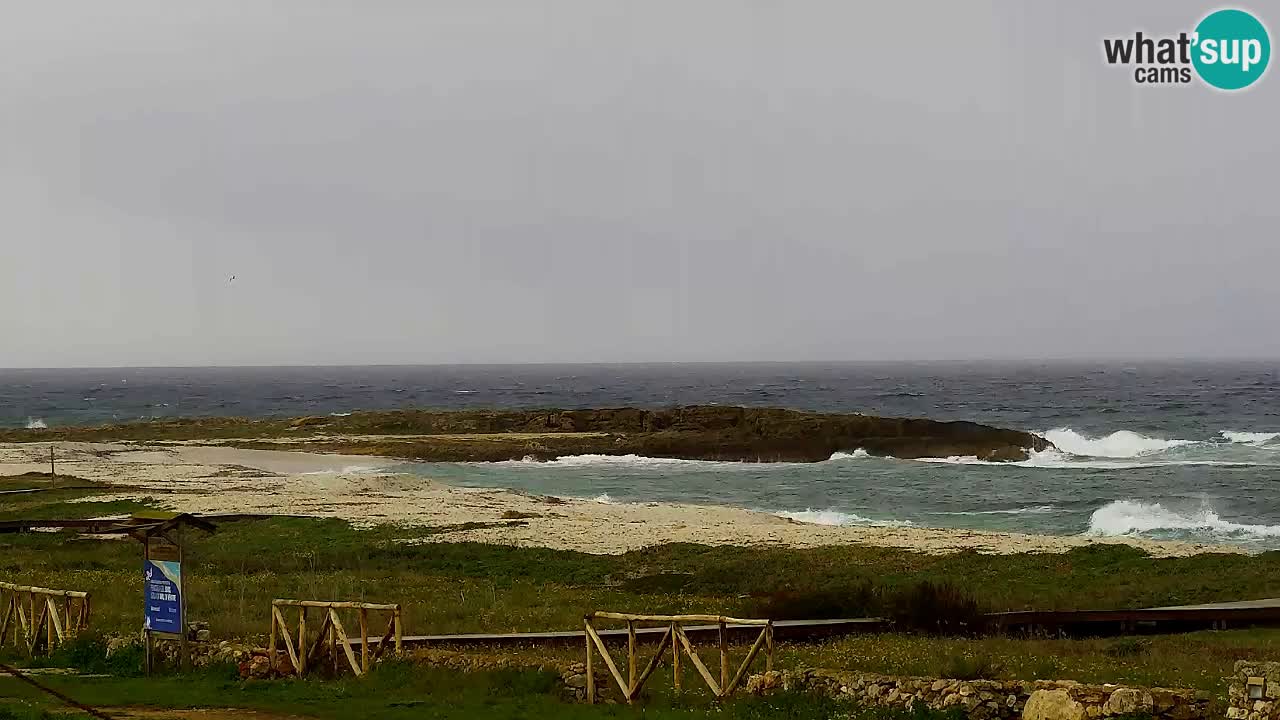 Strand Is Arutas webcam | Oristano – Sardinien