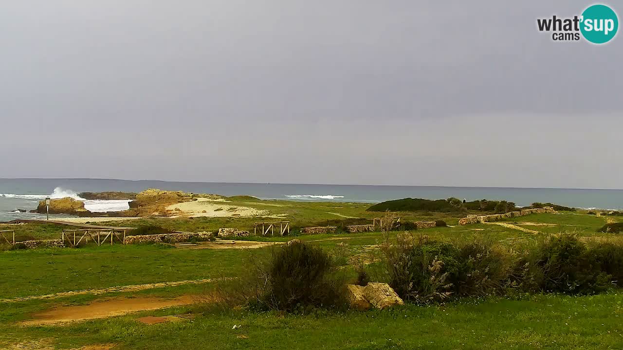 Plaža Is Arutas kamera | Oristano – Sardinija