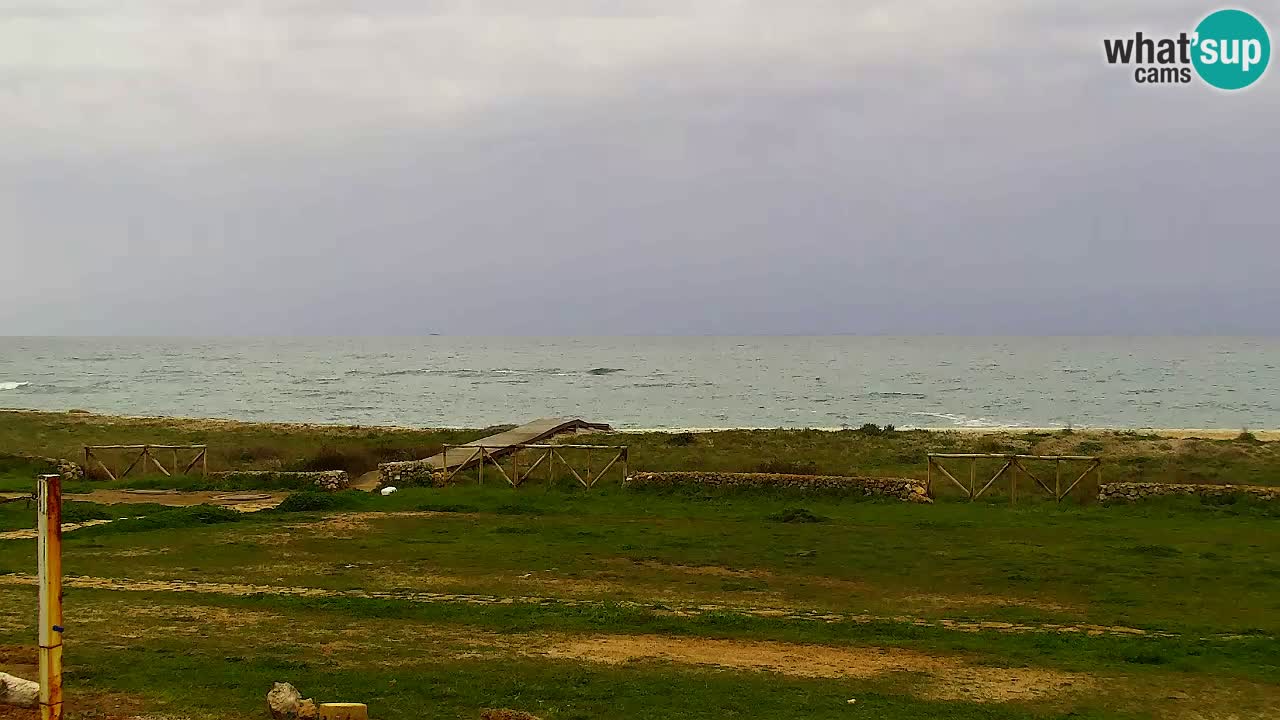 Strand Is Arutas webcam | Oristano – Sardinien