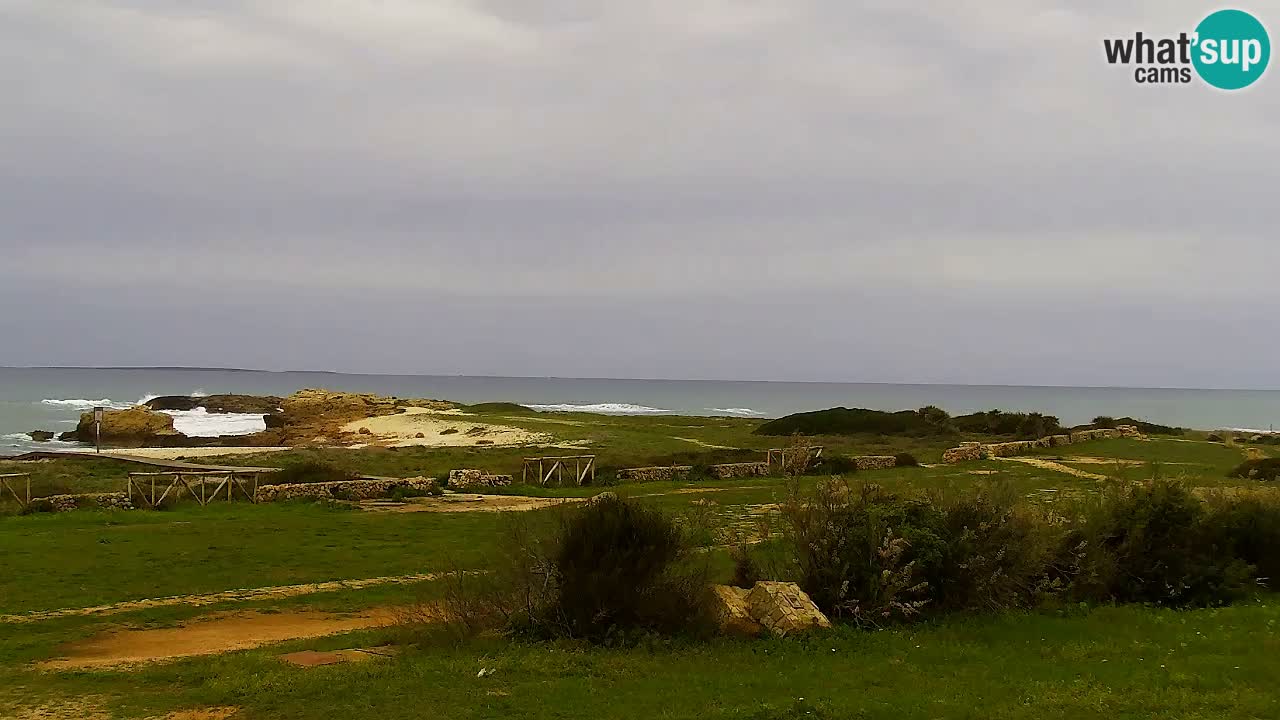 Is Arutas webcam beach | Oristano – Sardinia