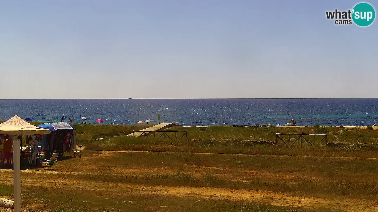 Is Arutas camera en vivo | Oristano – Cerdeña
