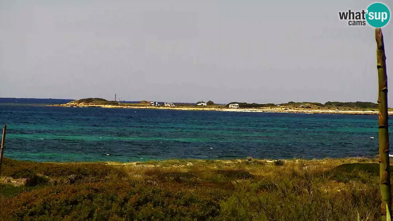 Is Arutas webcam beach | Oristano – Sardinia
