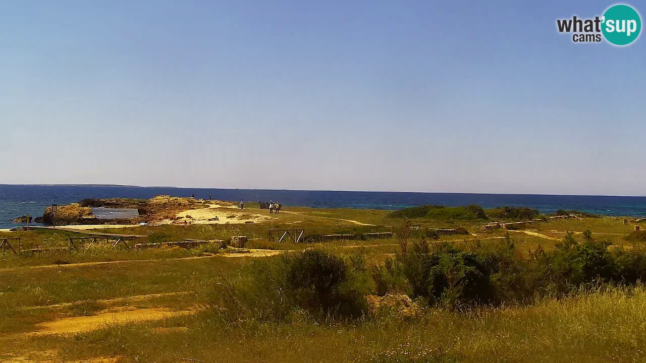 Is Arutas webcam beach | Oristano – Sardinia