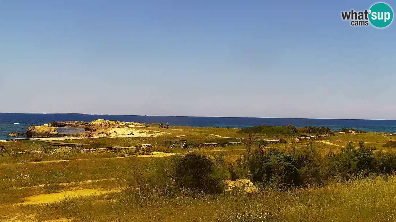 Webcam Is Arutas spiaggia | Oristano – Sardegna