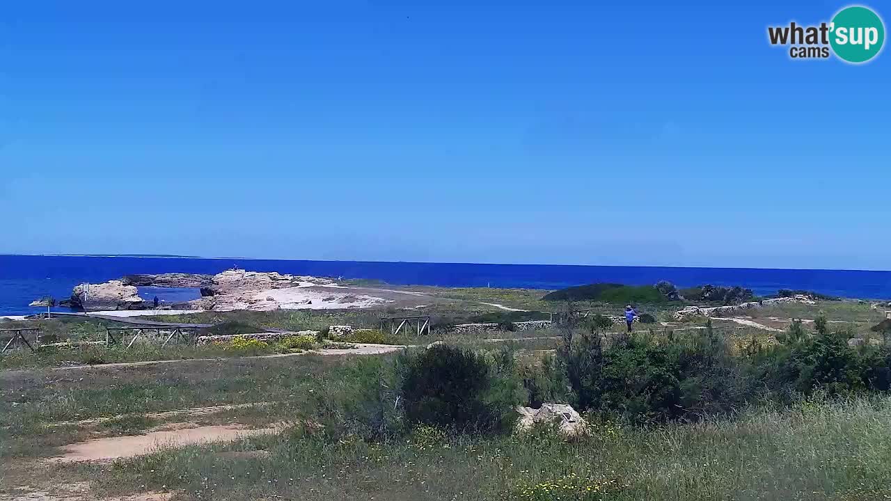 Is Arutas livecam plage | Oristano – Sardaigne