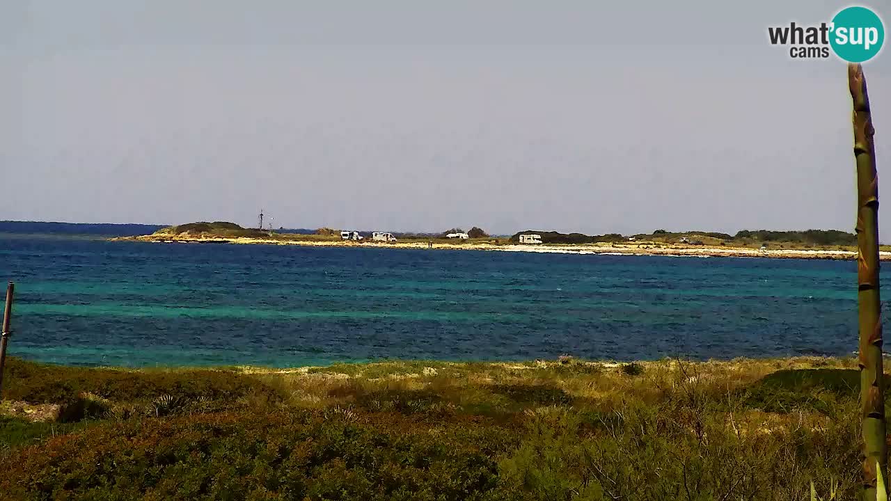 Strand Is Arutas webcam | Oristano – Sardinien