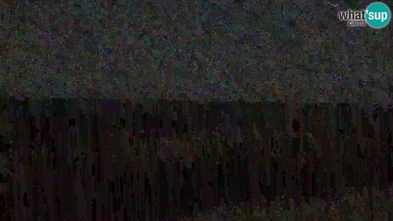 Is Arutas camera en vivo | Oristano – Cerdeña