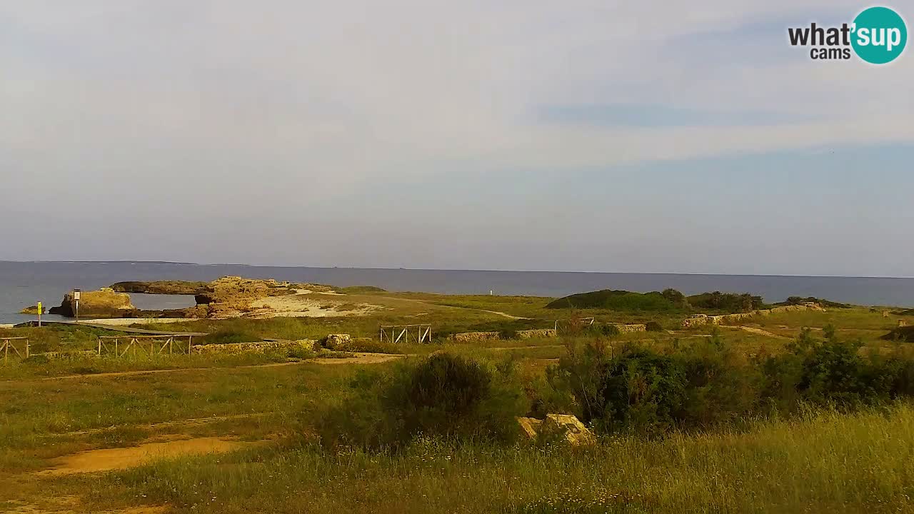 Is Arutas webcam beach | Oristano – Sardinia